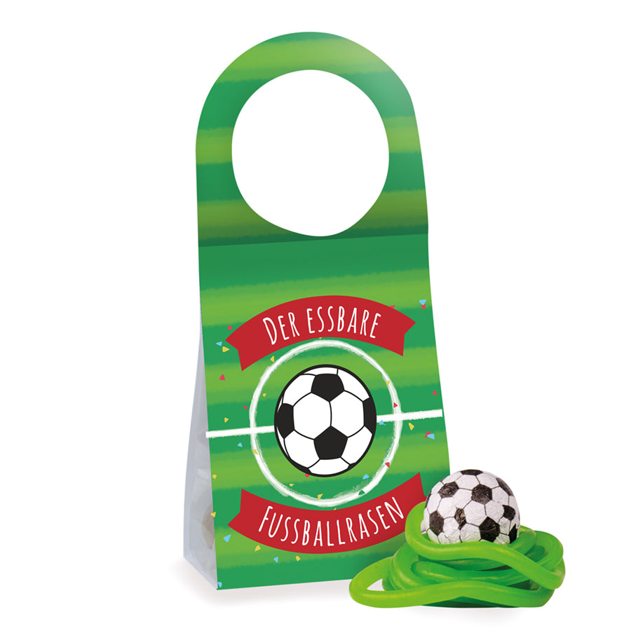 Muster - Türanhänger Fußballrasen