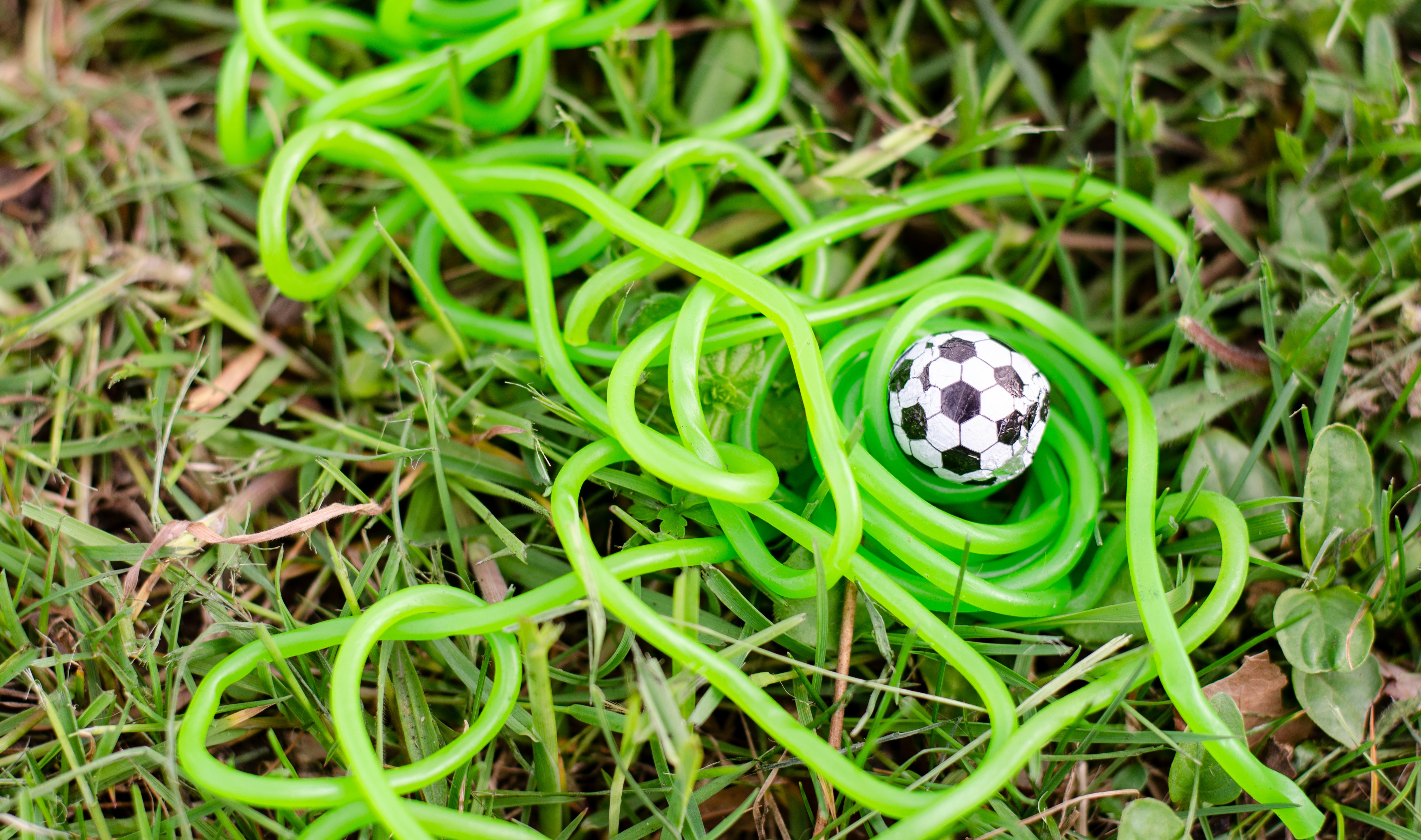 Essbarer Fussballrasen Box